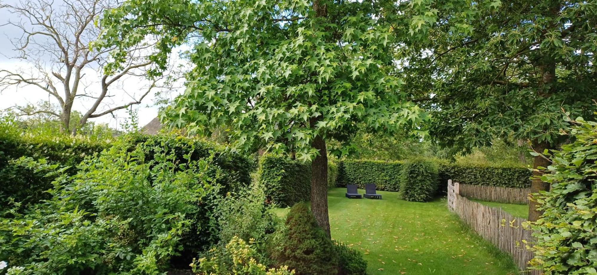 Voorst Gem Voorst Bed & Breakfast Appenseweg المظهر الخارجي الصورة