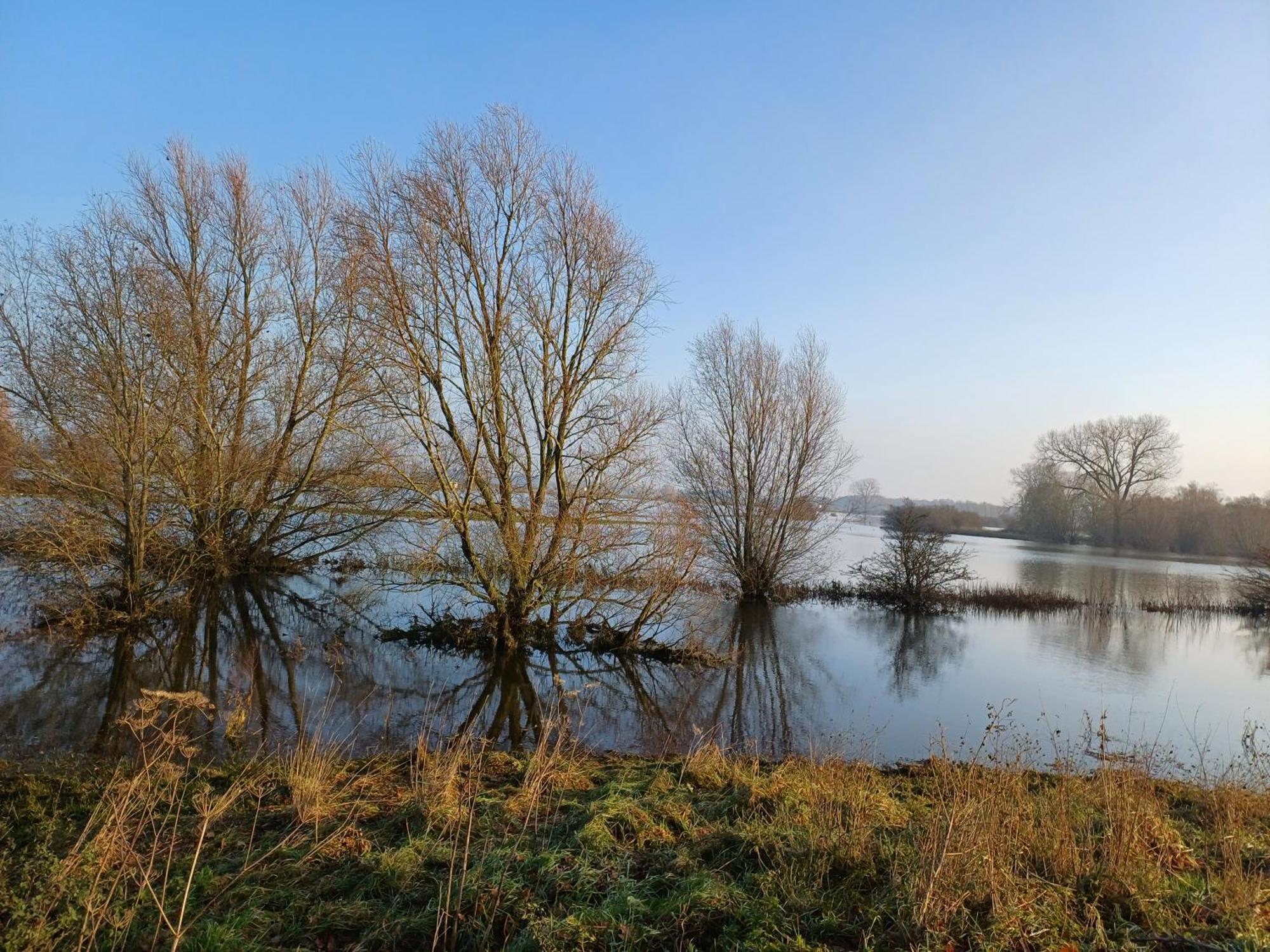 Voorst Gem Voorst Bed & Breakfast Appenseweg المظهر الخارجي الصورة